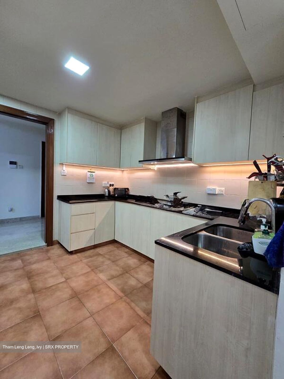 Modena (D18), Condominium #519360541